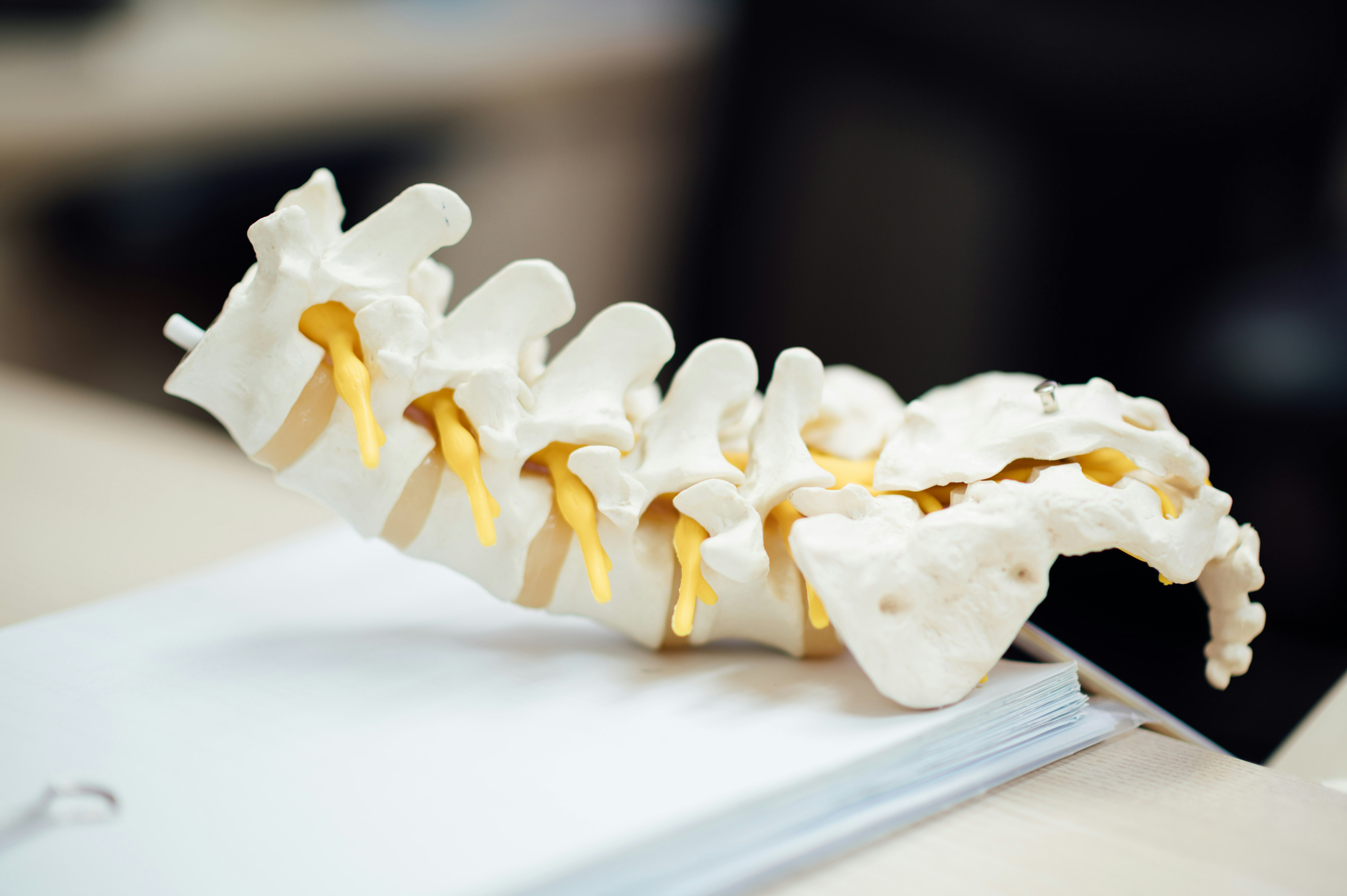 General Orthopaedic Care